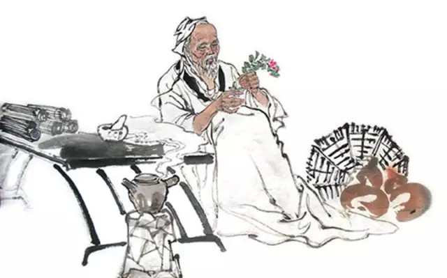 美哉诗经原文,美哉美城属于哪个街道