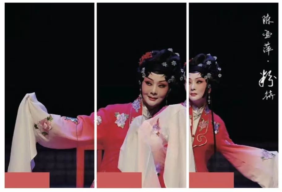 2019海鸥文化节活动主题,昆明海鸥文化节