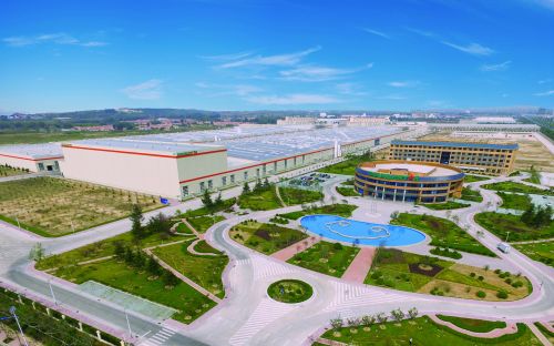 青岛双星险胜上海,青岛双星赛事今日消息