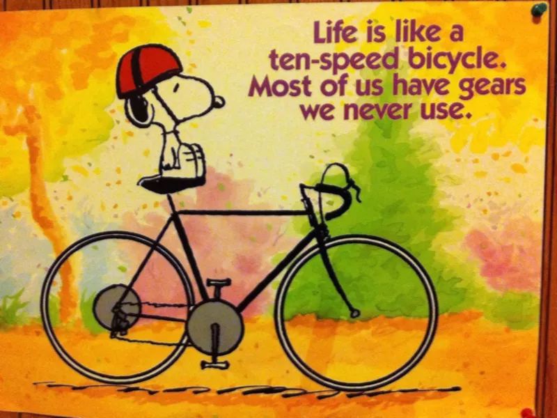 车手电影里的经典语录,车手经典台词