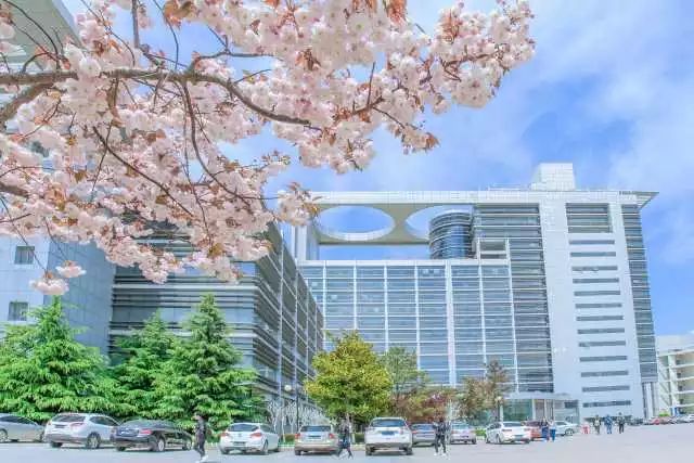 石大校园美景图,石大给父母拍毕业照