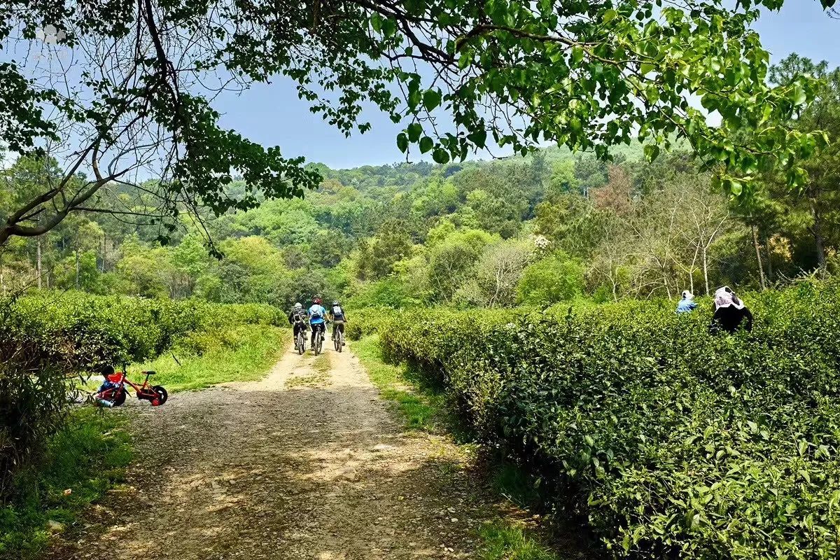 尧歌里古村,江南古村