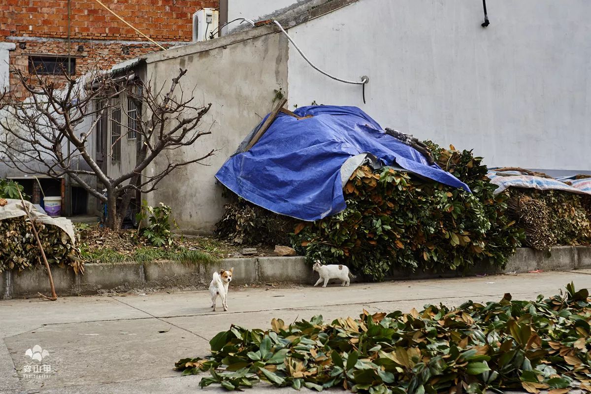 尧歌里古村,江南古村