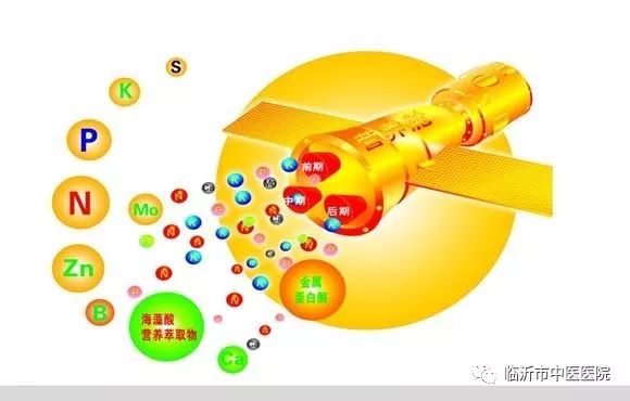 「名医名家」刘兆石：疼痛科专家告诉您，腿抽筋的原因有哪些？
