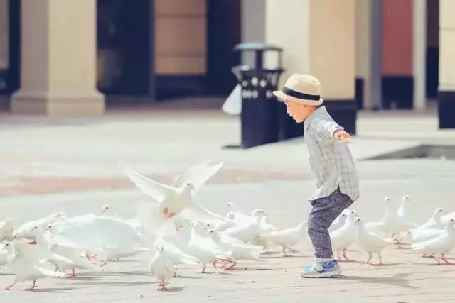 过年还出什么国，你想要的一切这儿都能满足你！