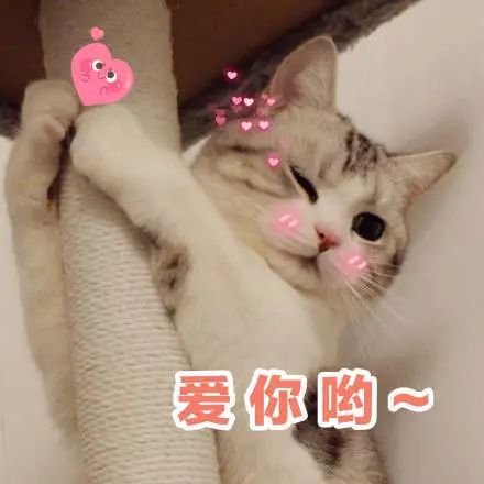 必买的日本20件好物,日本必买的好物排行