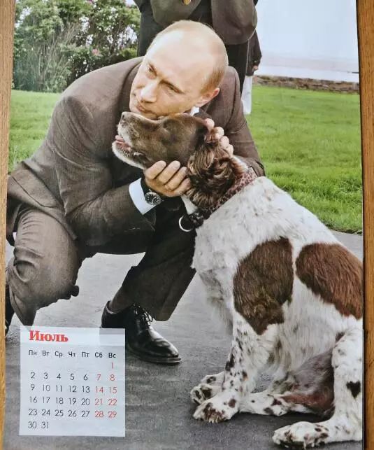 普京日历,普京和狗狗温馨图片