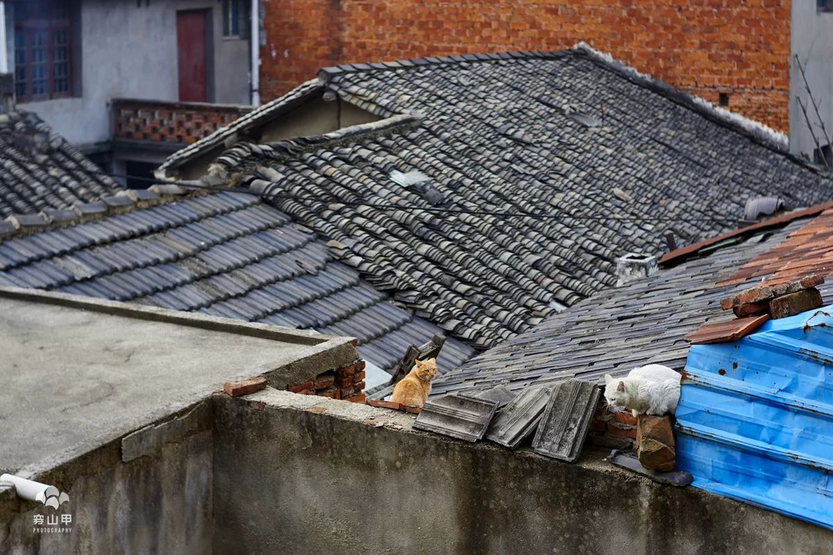 尧歌里古村,江南古村