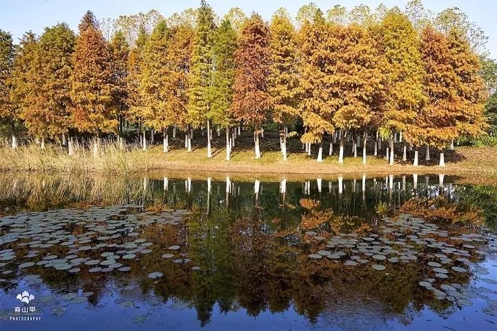 尧歌里古村,江南古村