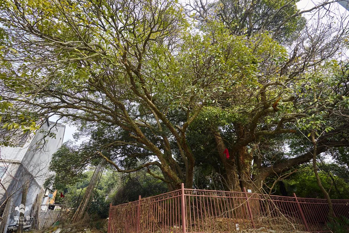 尧歌里古村,江南古村