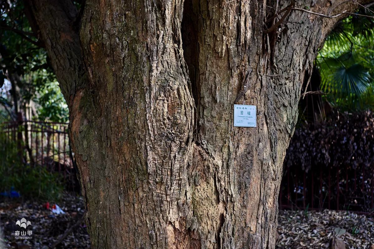 尧歌里古村,江南古村