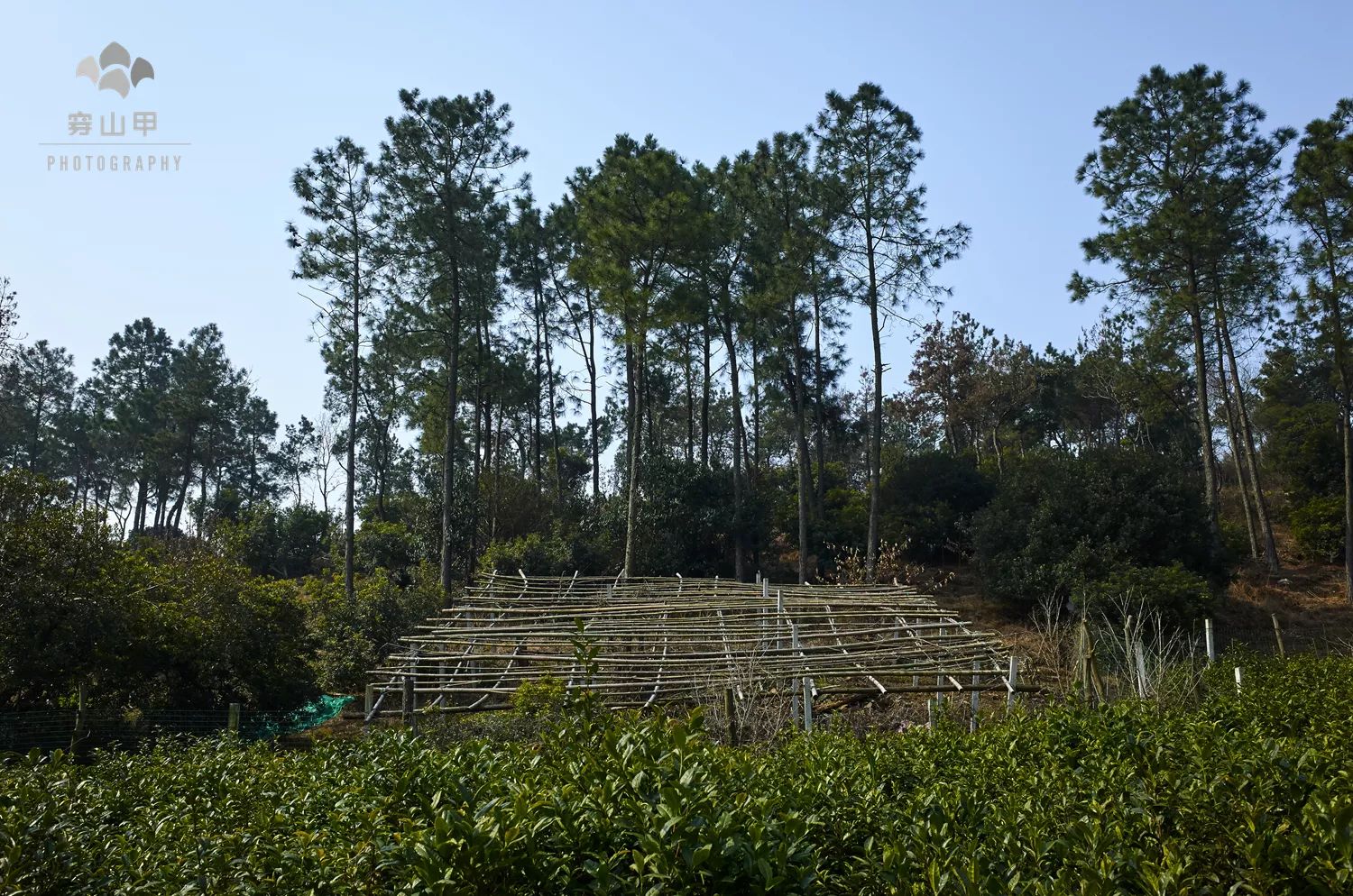 尧歌里古村,江南古村