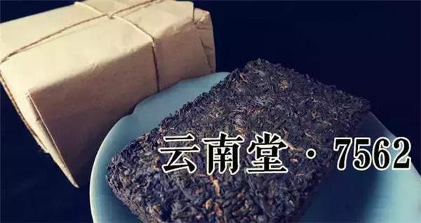 正宗7562普洱茶,7572普洱茶视频