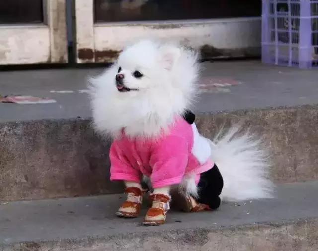 包头市老苏联楼在哪里,包头青山区苏联楼