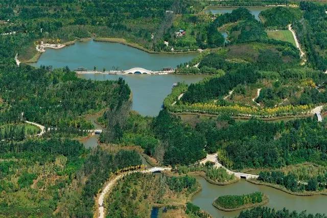 天津郊游野餐的地方,天津野餐