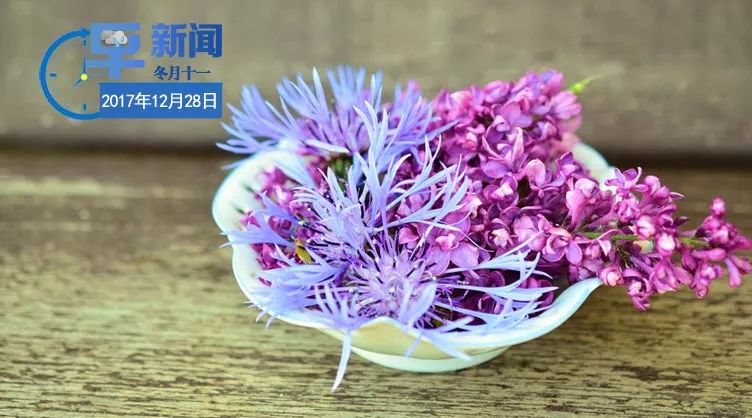 早安，张家界！（37期）