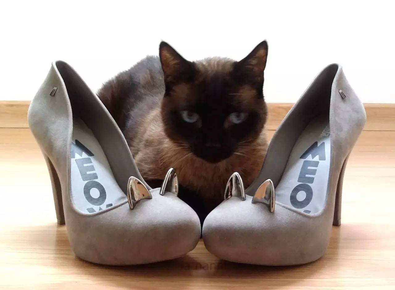 下雨天怎么能没有一双雨靴 (下雨天有必要穿雨靴吗)