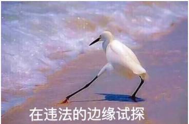 香港海港城买化妆品有假货吗,元旦去香港买什么