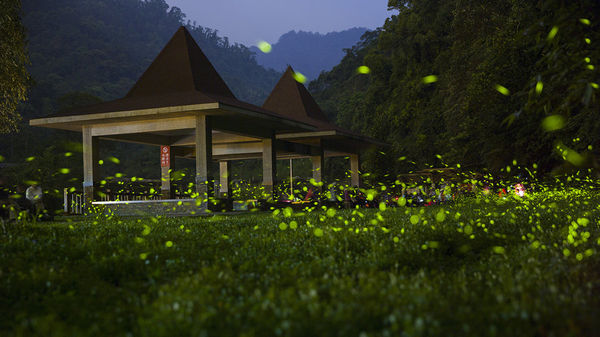 上海市崇明区青少年足球,崇明足球