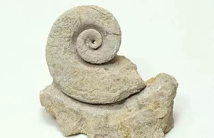 奇石的造假手段,奇石造假全过程