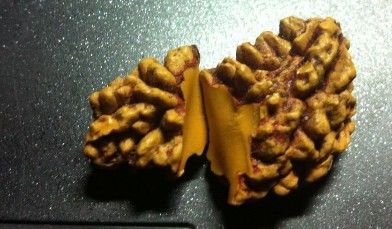 假金刚菩提子图片,真金刚菩提子鉴别真假