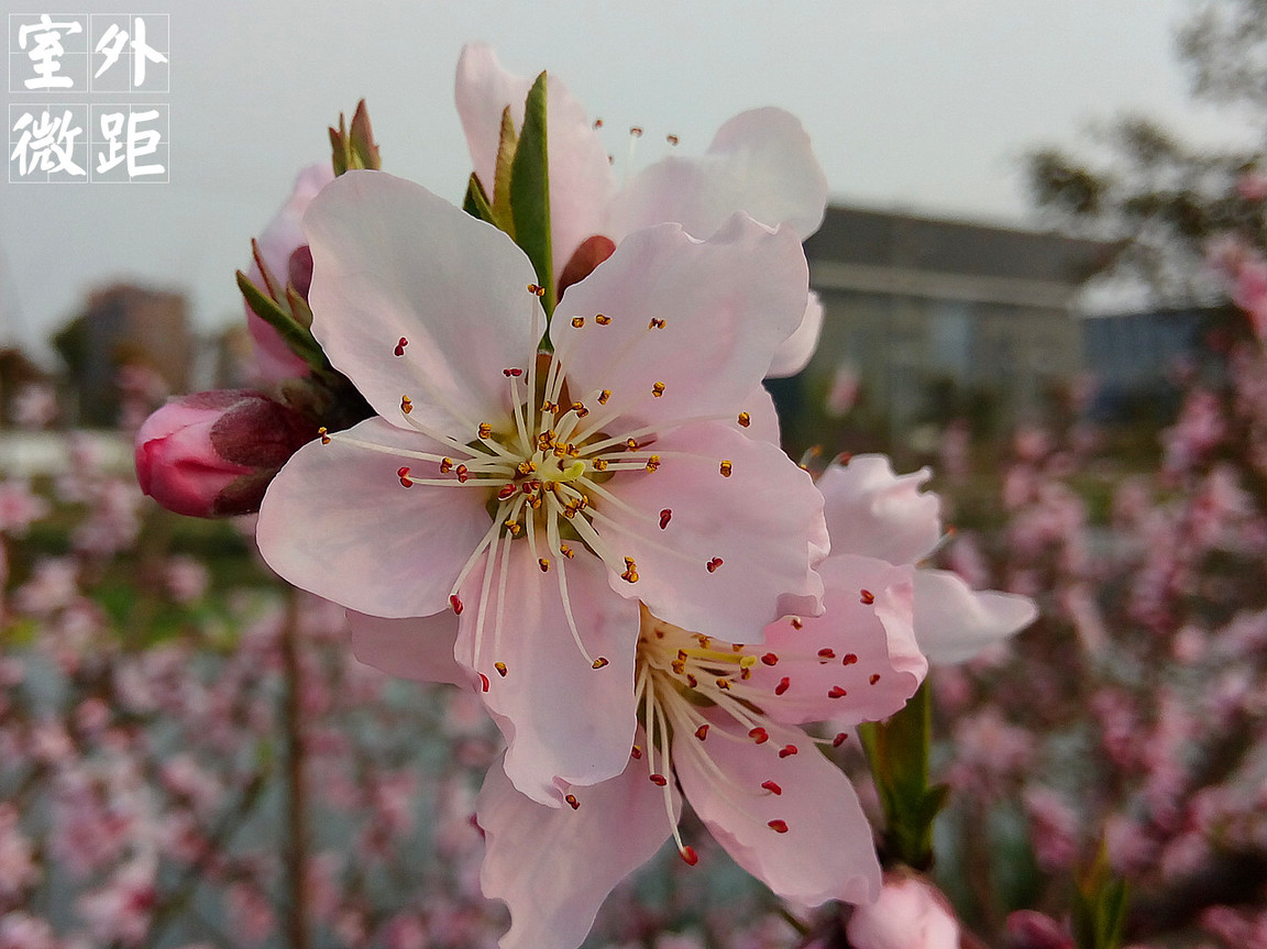 4在必得：360手机F4全体验