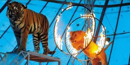 天津五一冷门自驾游推荐,五一天津亲子游十佳去处