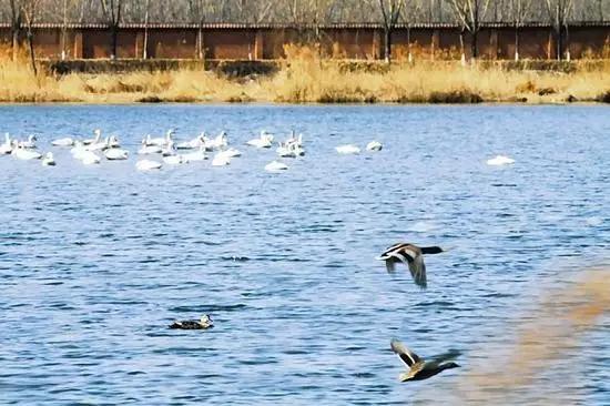 太原十大初中名校,太原最好的5所学校