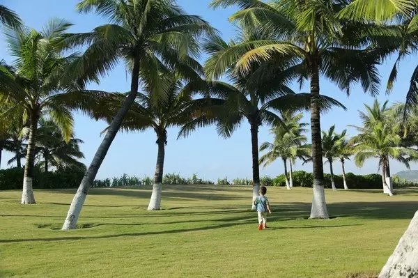 五天四晚亲子三亚游,许你一片碧海蓝天小说