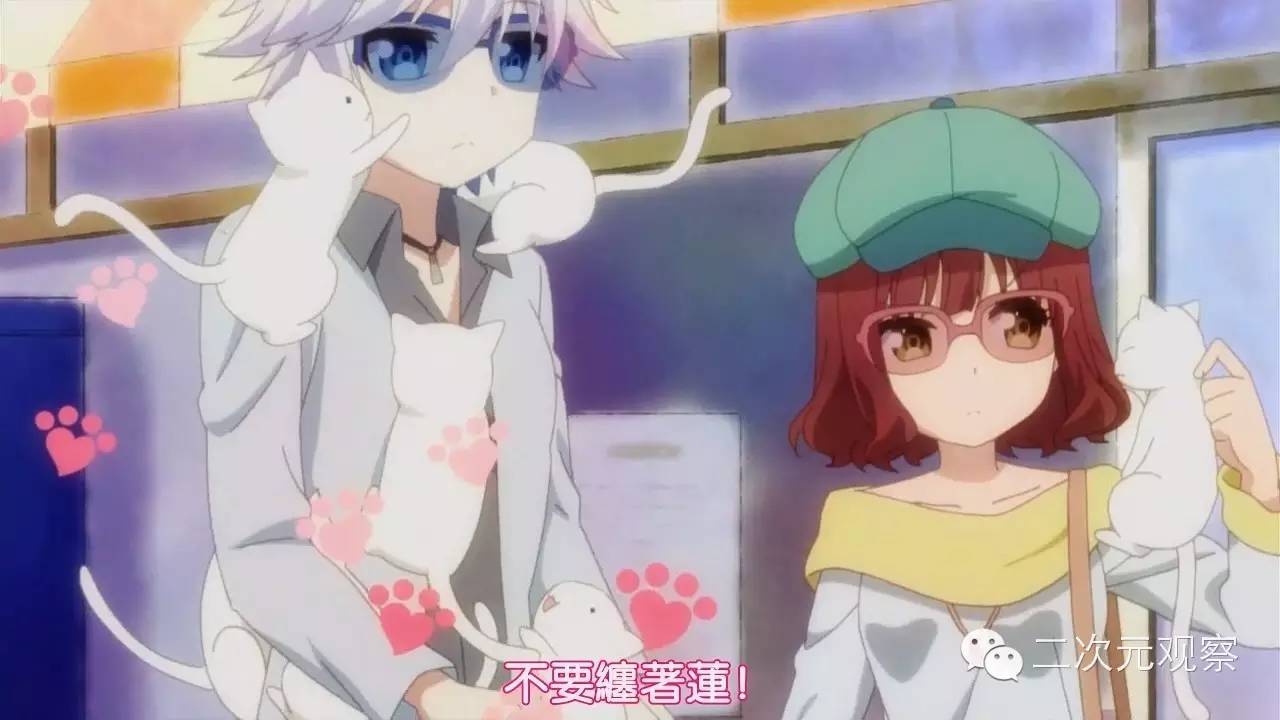 百合无限好视频,百合无限好的下句是什么