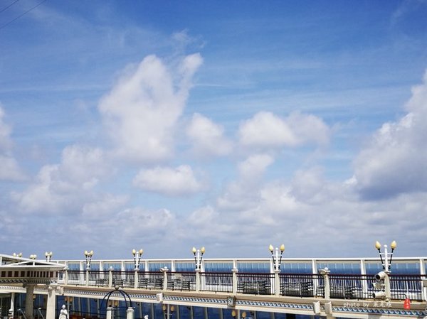 珊瑚海日本,陪你去看海底世界