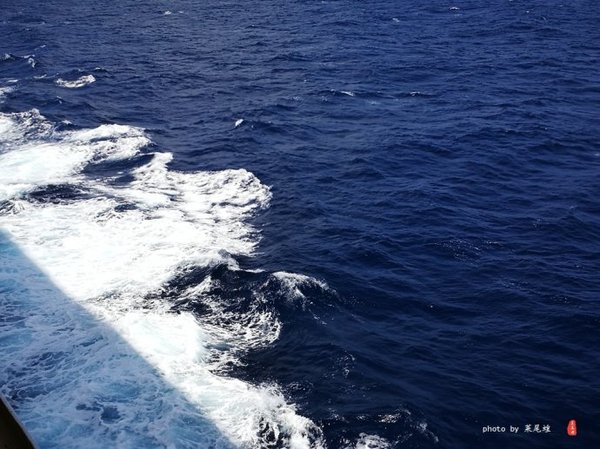 珊瑚海日本,陪你去看海底世界