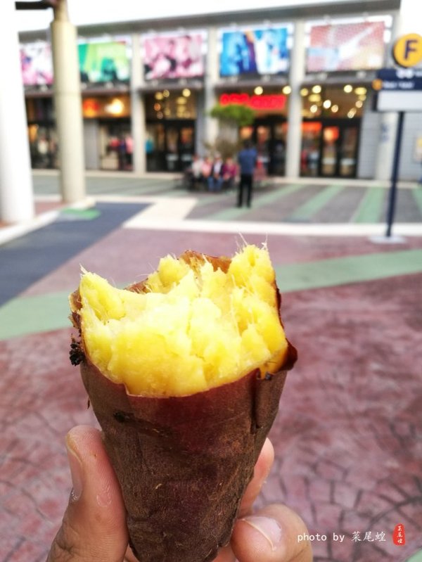 珊瑚海日本,陪你去看海底世界