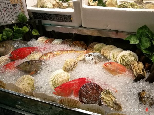 珊瑚海日本,陪你去看海底世界