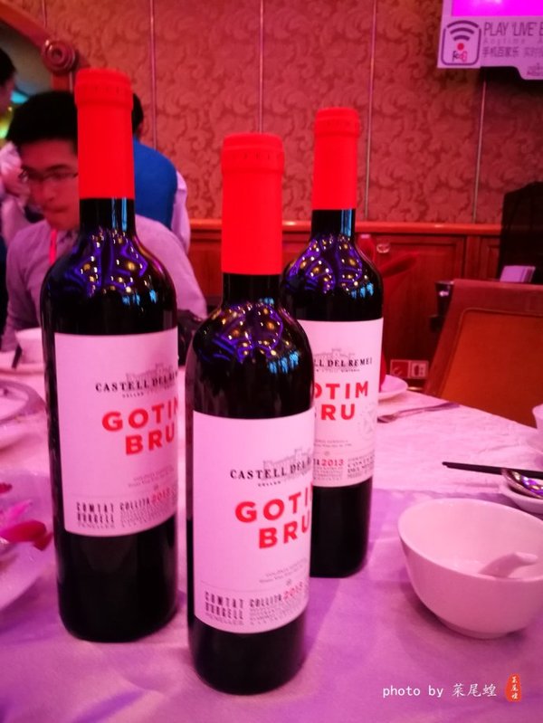 珊瑚海日本,陪你去看海底世界