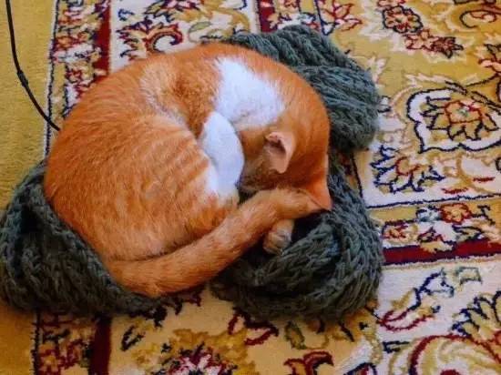 泉州市五星级酒店名单大全,泉州五星级酒店房间视频