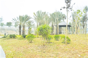 龙华开发建设提速提质提效,海口市龙华区建设工程