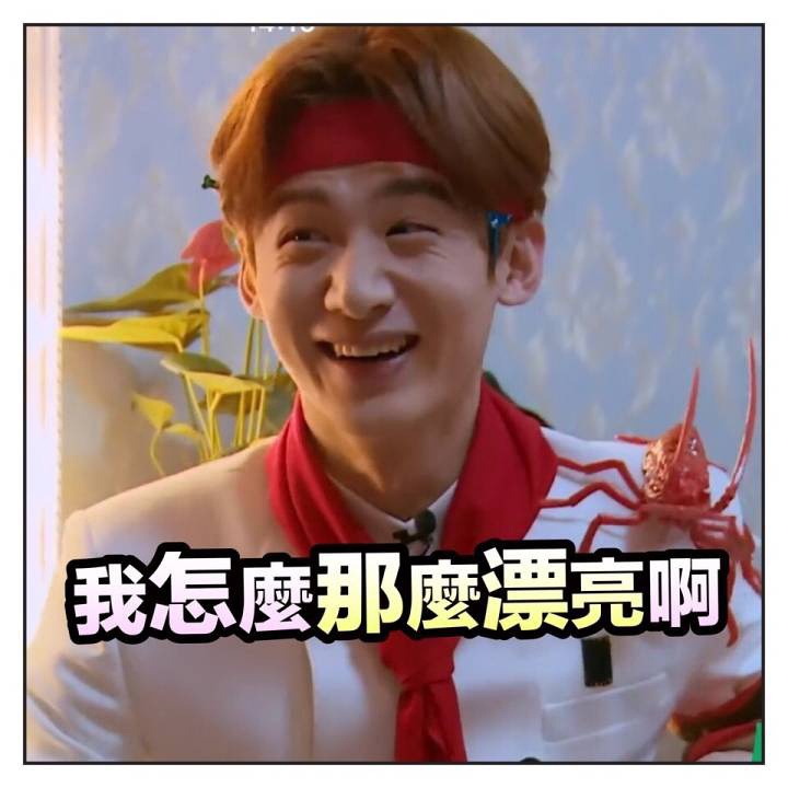 豆瓣日记茉莉,评价好用彩妆平价推荐