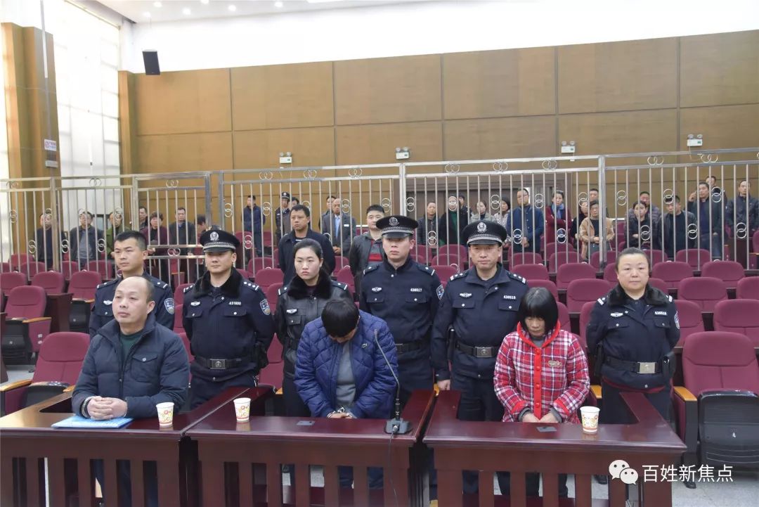 早安，张家界！（37期）