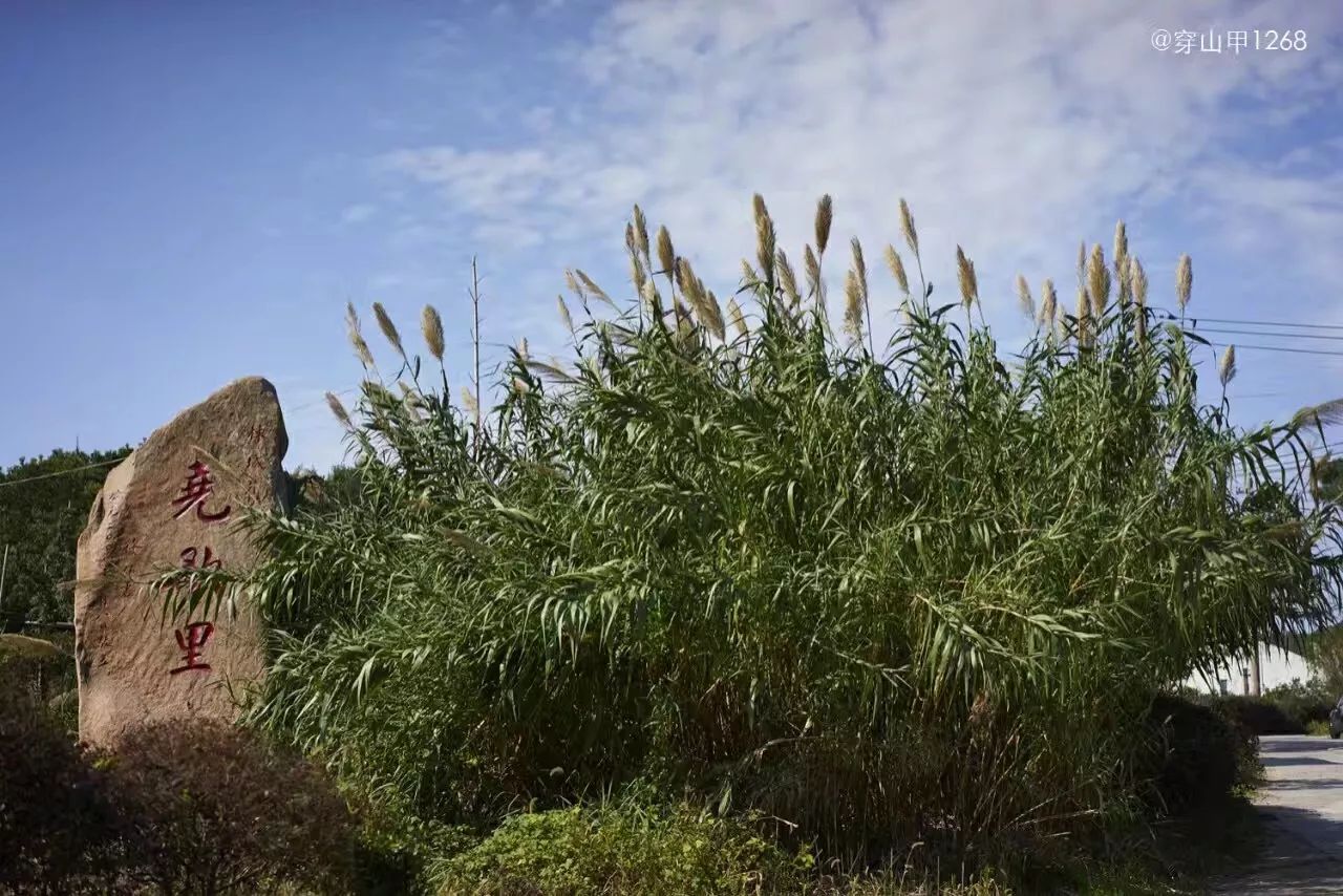 尧歌里古村,江南古村