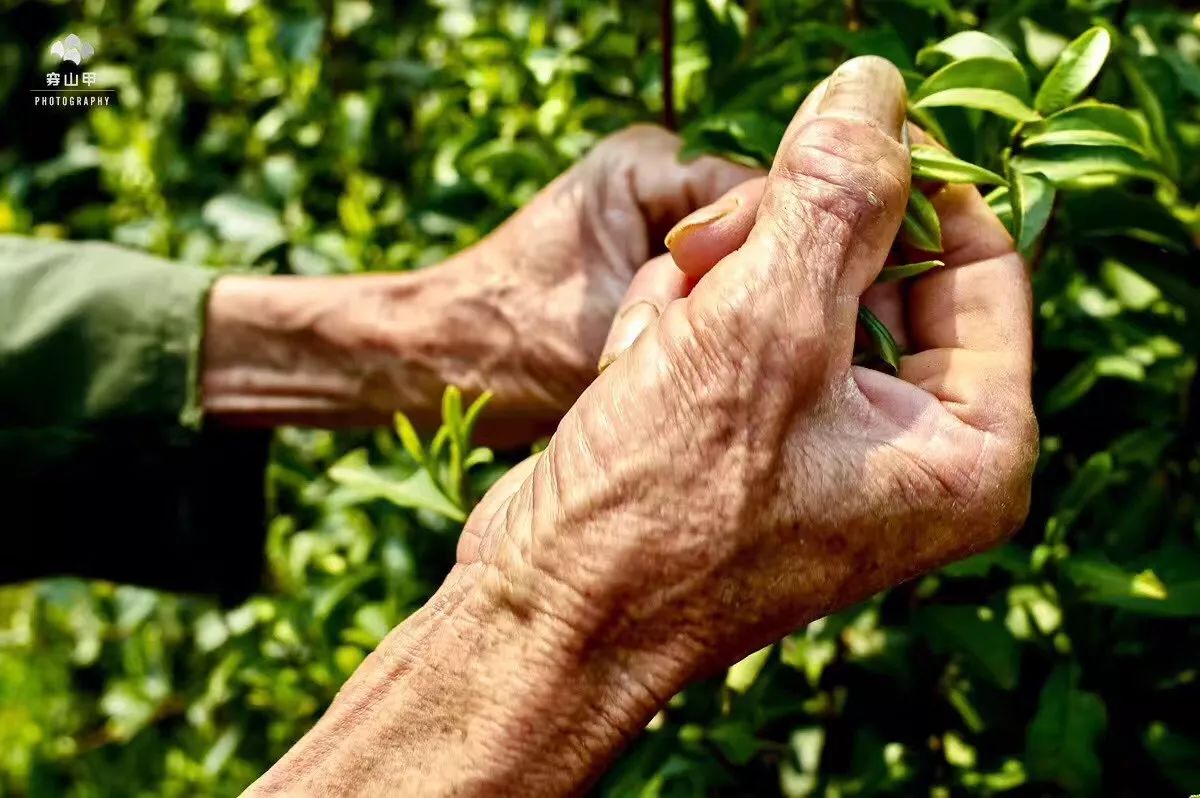 尧歌里古村,江南古村