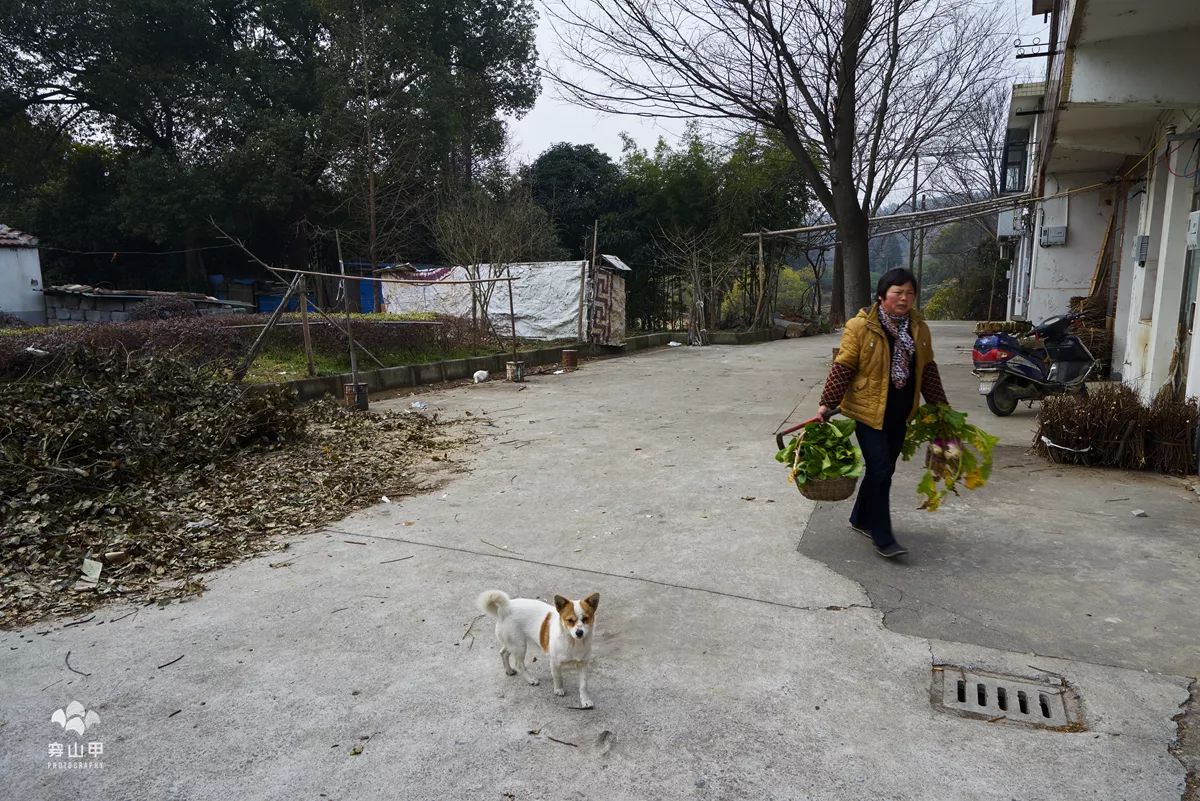 尧歌里古村,江南古村