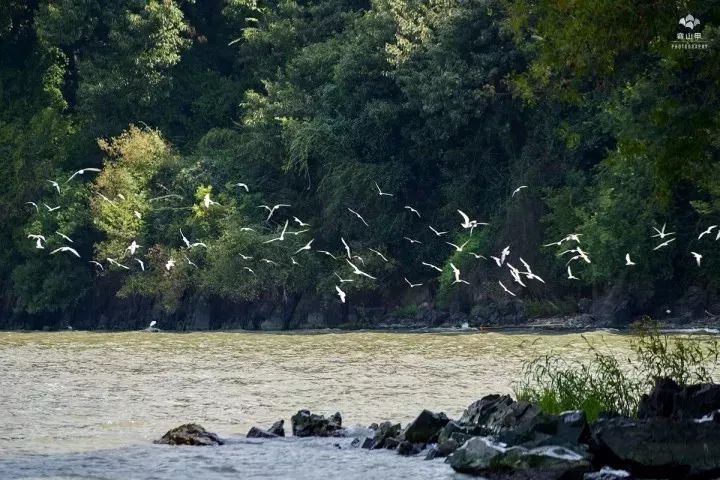 尧歌里古村,江南古村
