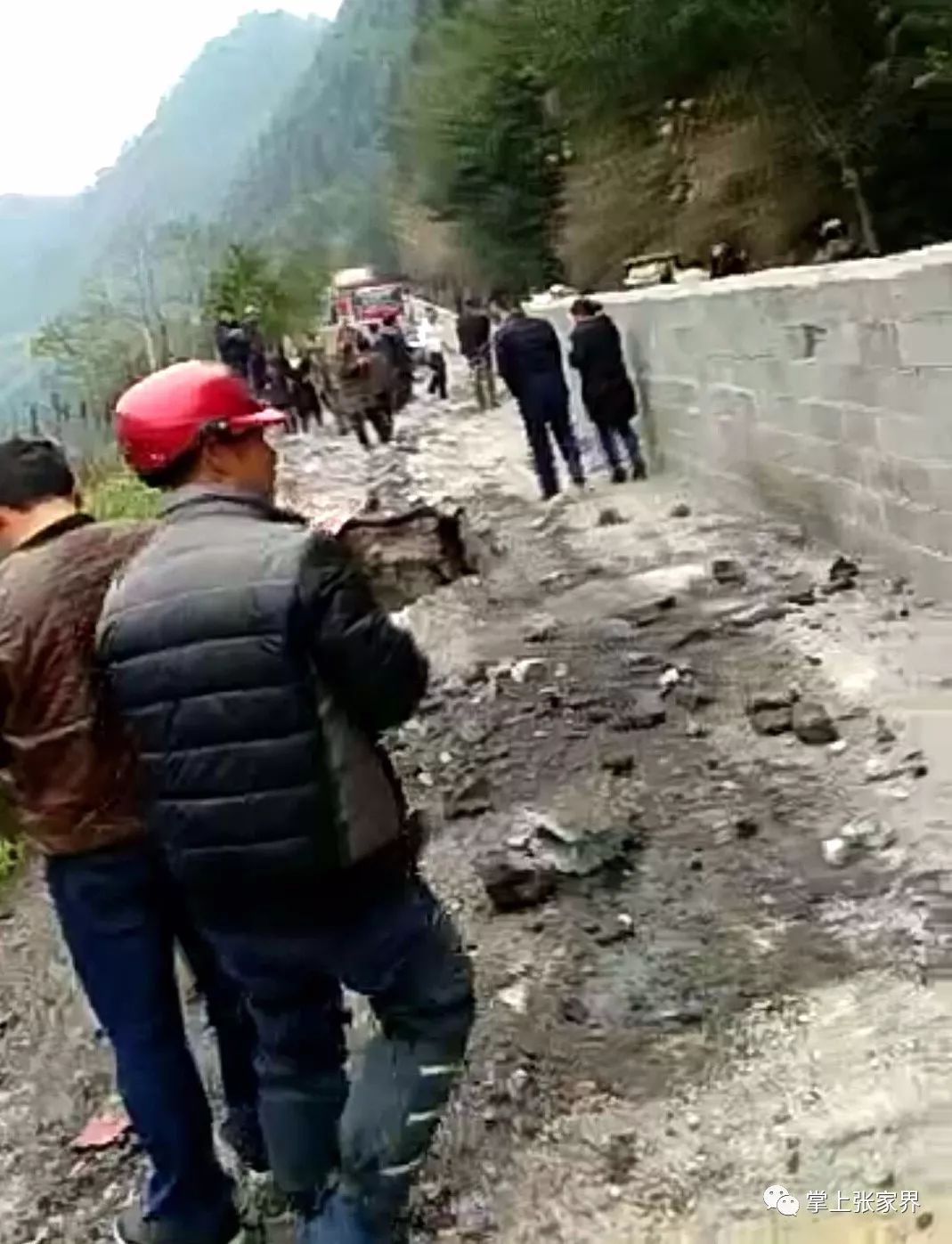 早安，张家界！（37期）