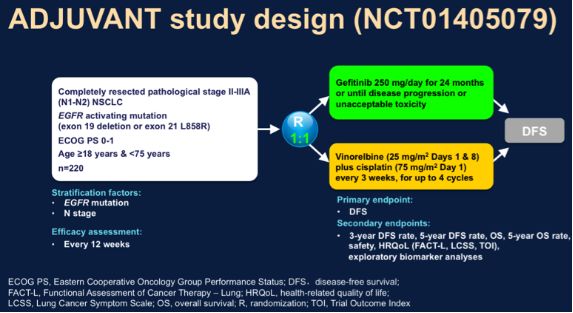 2021年肺癌的靶向治疗研究进展,2015-2020年肺癌著名研究