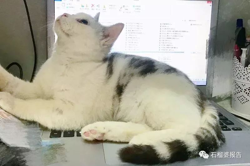 未来十年最好的一笔投资,个人十年最具潜力的投资