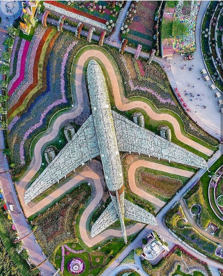 omg网红街城市森林秘境,omg佛系少女