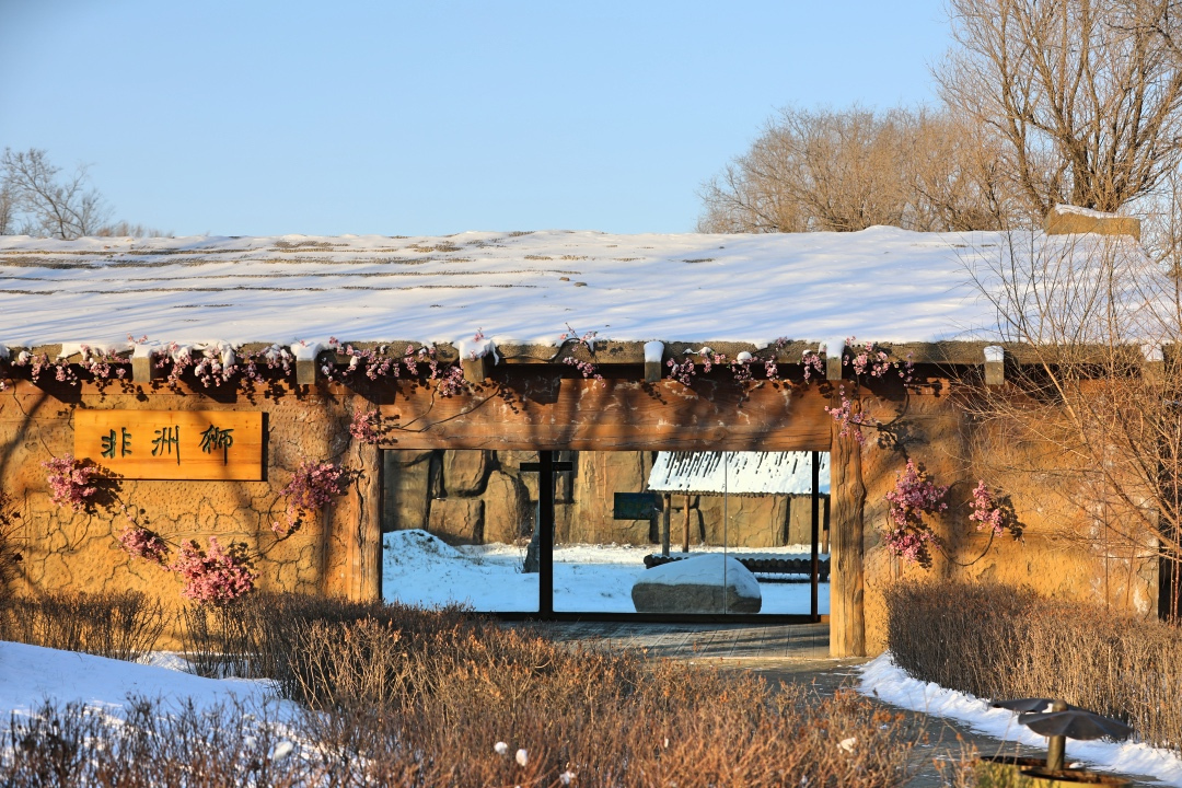 齐齐哈尔附近一日游,齐齐哈尔景点一日游路线