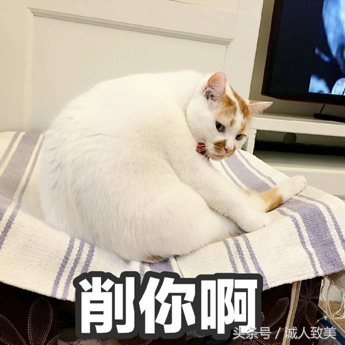 在家如何矫正歪鼻梁,歪鼻梁怎么修容