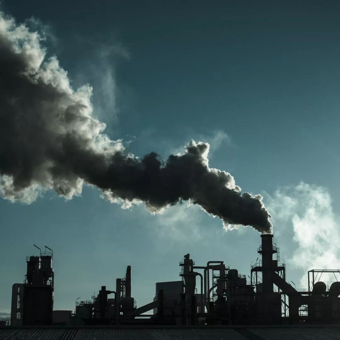 1部电影，2座建筑，3个城市，4场展览……2017年的36种元素